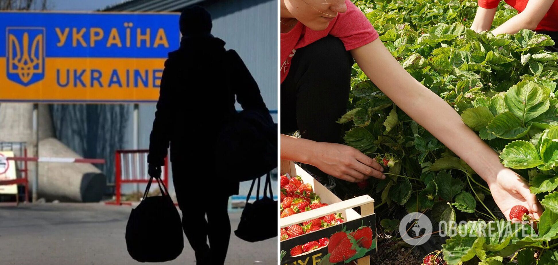 Українські заробітчани
