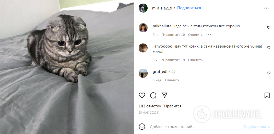 Школярка ділилася фото свого вихованця.