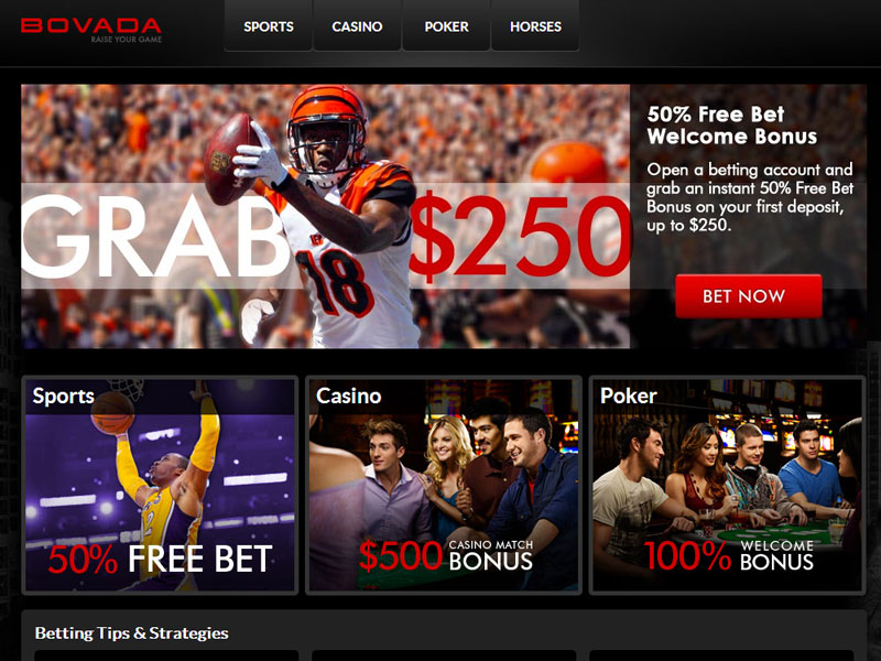 Android os Harbors immortal romance slot rtp One Shell out Real money